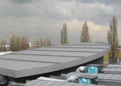 Quartz-zinc (VM) standing seam roof (industrial)